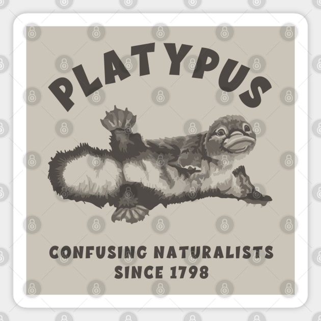 Pretty Platypus Portrait Magnet by Slightly Unhinged